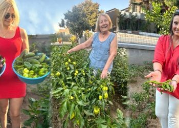 Turşu kuran, zeytin kıran ellerden gelenek kokan tatlar Şenay Ana ile Urla’nın geleneksel kış hazırlıkları/Fulya Omaç