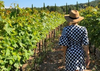 İzmir bağcılık mirasını koruyan Iter Vitis Rotası’na katıldı
