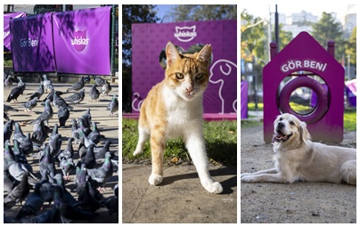 WHISKAS®’tan Toplumsal Empatiyi Güçlendiren Proje: “Gör Beni”