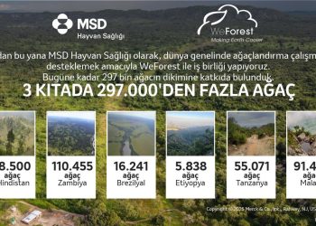 Üç Kıtada 297 Bin Ağaç: MSD Hayvan Sağlığı ve WeForest 10. Yılını kutluyor