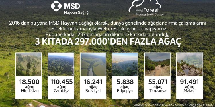 Üç Kıtada 297 Bin Ağaç: MSD Hayvan Sağlığı ve WeForest 10. Yılını kutluyor