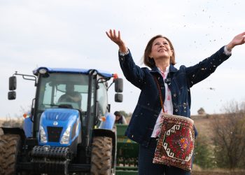 5 Bin yıl sonra ata yadigarı kavılca buğdayı yeniden Eskişehir topraklarında!