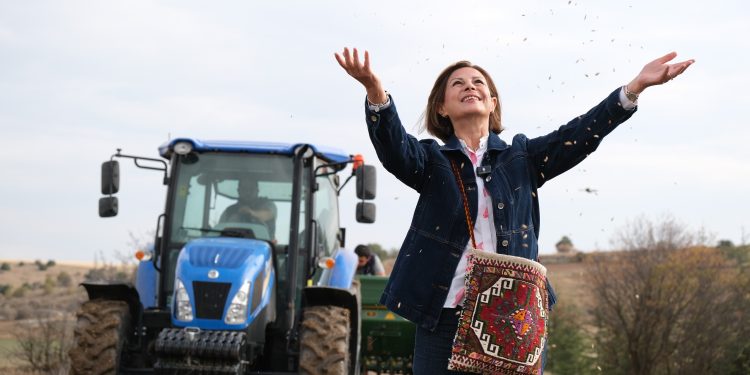 5 Bin yıl sonra ata yadigarı kavılca buğdayı yeniden Eskişehir topraklarında!