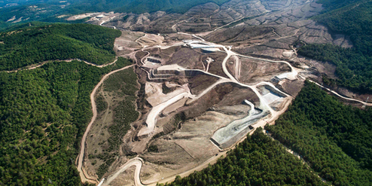 TEMA Vakfı: COP30 çözüm değil, erteleme üretti