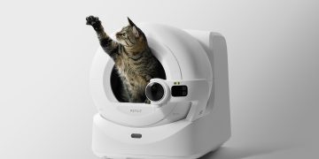 Kedilerde solunum ve alerji risklerine karşı: Doğal tofu kumu