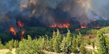 Doğa İçin Sorumluluk Hepimizde: TEMA Vakfı 2025’in çevre olaylarını değerlendirdi