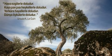 Gönlümüzü yerden yere vuran bir yıldı 2025. Buna karşı tek gücümüz “bir arada kalmayı başarmak” oldu.