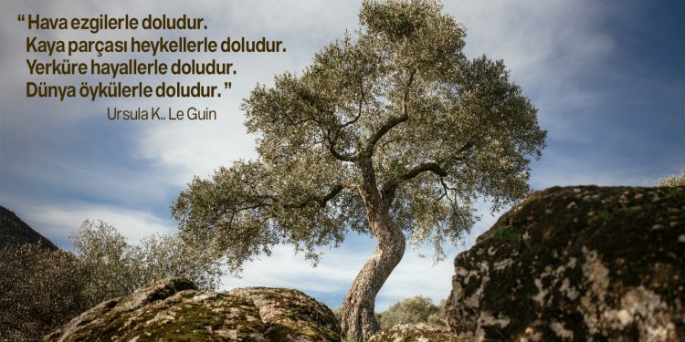 Gönlümüzü yerden yere vuran bir yıldı 2025. Buna karşı tek gücümüz “bir arada kalmayı başarmak” oldu.