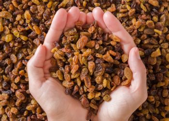 Türkiye, dünya kuru üzüm ihracatının yüzde 30’unu tek başına yapacak