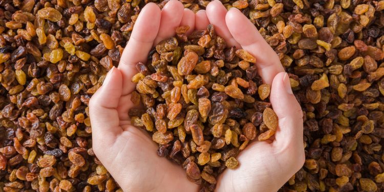 Türkiye, dünya kuru üzüm ihracatının yüzde 30’unu tek başına yapacak