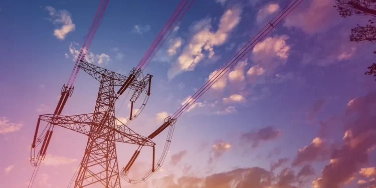 Aşkım Tan: Bu bir elektrik kesintisi değil, akıl kesintisidir