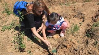 ÇEKÜL Vakfı Genel Sekreteri Ilgın Sözen: Bir yılda 116 bin fidan dikildi