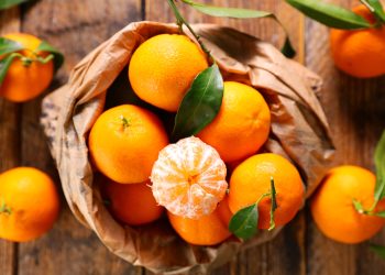 Ege Bölgesi ihracat artışından payına düşeni alamadı