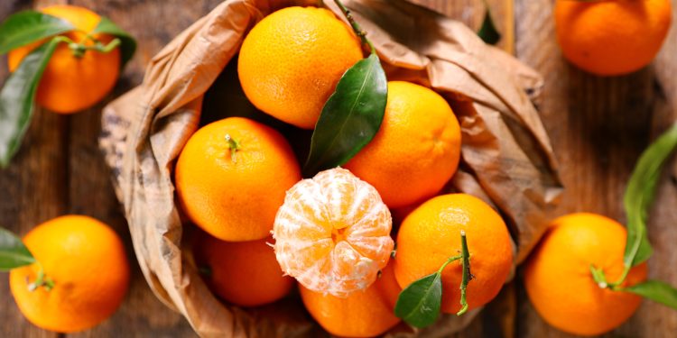 Ege Bölgesi ihracat artışından payına düşeni alamadı