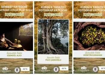 Zeytinin Emeği, doğası ve bereketi fotoğraflarla anlatıldı