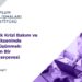Toplum Çalışmaları Enstitüsü’nden gelecek 5 yıl için kritik öngörü: Türkiye’de doğurganlık hızı neden düşüyor?
