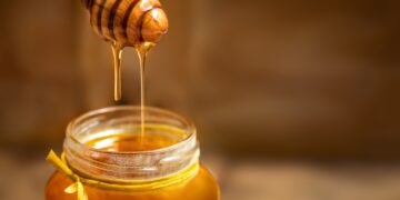 Türk çam balını manuka balına rakip yapacak proje hayata geçiyor