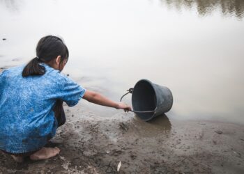 Su ve Orman: Doğanın, refahın ve eşitliğin temel taşları