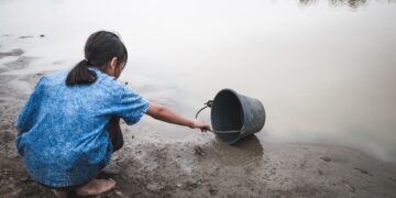 Su ve Orman: Doğanın, refahın ve eşitliğin temel taşları