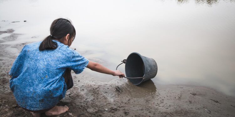 Su ve Orman: Doğanın, refahın ve eşitliğin temel taşları