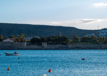 Foça’da Festival Heyecanı: Başkan Saniye Bora Fıçı’dan Yerel balık vurgusu
