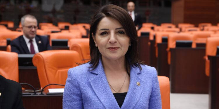Gülcan Kış, “Okullar Güvensiz, Bakanlık Suskun”
