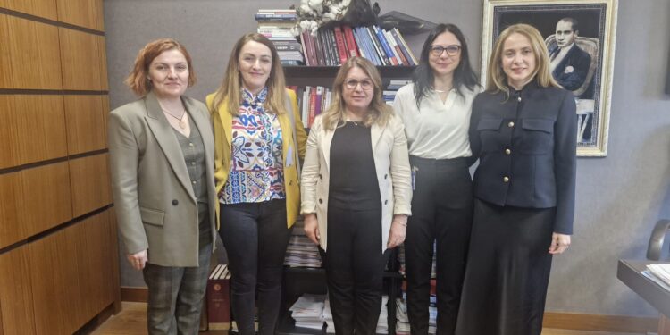 Tek Ebeveynli Aileler İlk Kez Anneler Günü Haftasında TBMM Gündeminde