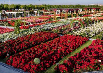 Karatay’da 190 çeşit gül görsel şölen sunuyor
