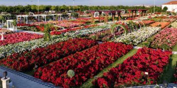 Karatay’da 190 çeşit gül görsel şölen sunuyor