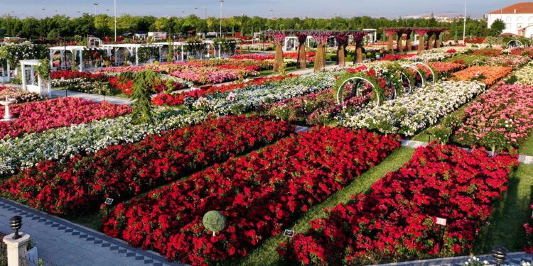 Karatay’da 190 çeşit gül görsel şölen sunuyor