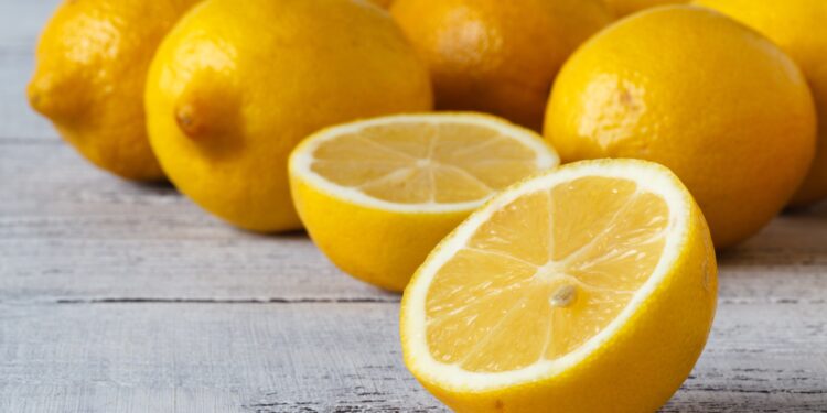 Türkiye’nin limon ihracatı 500 milyon dolara koşuyor
