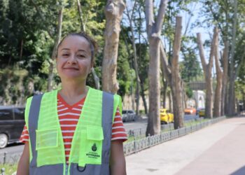 İBB’den Çınar kanserine karşı bilimsel koruma