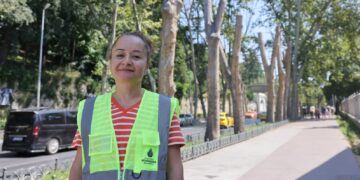 İBB’den Çınar kanserine karşı bilimsel koruma