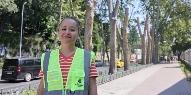 İBB’den Çınar kanserine karşı bilimsel koruma
