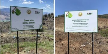 Sezen Aksu, Özkan Uğur ve Sırrı Süreyya Önder’in Anısını Hatıra Ormanlarıyla yaşatıyor