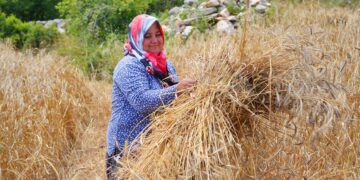 Kadın Emeğini Değerlendirme Vakfı (KEDV), deprem bölgesinde ‘Temiz Ekmek Projesi’ni başlatıyor
