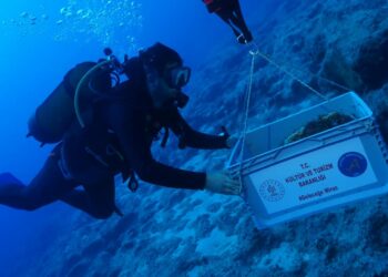 Dünyanın en eski batığı Kekova’da bulundu