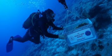 Dünyanın en eski batığı Kekova’da bulundu
