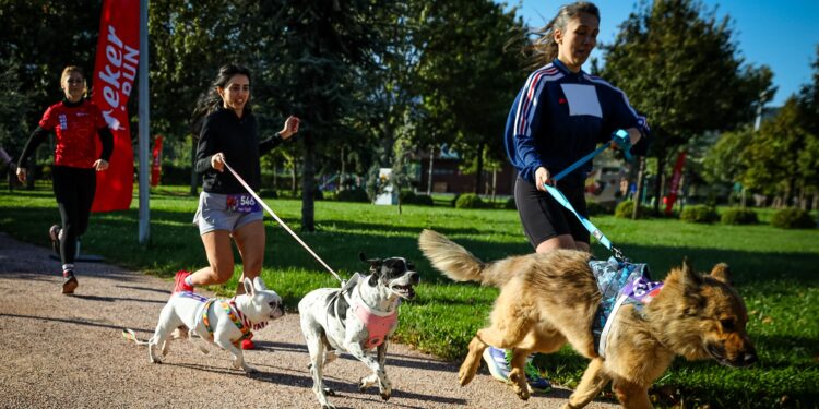 13. Eker I Run’da koşu tutkusu hayvan sevgisiyle buluştu