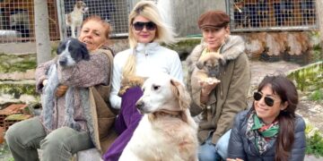 Semra Çetinsoy’dan Çağrı: “Sesiz kulların çığlığı duyulmalı ve artık somut adım atılmalı”Fulya Omaç